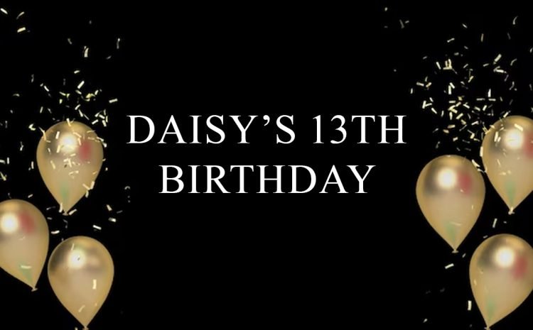  Daisy’s 13th Birthday